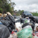 A tres días para despedir el año los tequeños siguen sumergidos entre desperdicios; promontorios de basura son visibles en calles y avenidas de la ciudad.