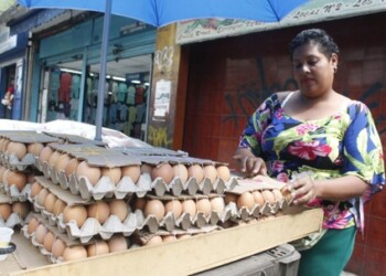 Cartón de huevos está siendo ofrecido en Bs. 2.000. ARCHIVO