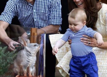 El marsupial fue originalmente llamado Boy, pero luego fue cambiado por Jorge para celebrar el nacimiento del Príncipe