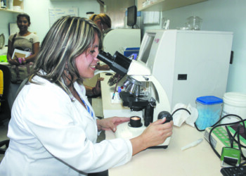 Especialistas recomiendan seguir trabajando a pesar de que los insumos escasean desde hace meses