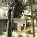 Lo que sería un museo está en ruinas y como guarida de delincuentes