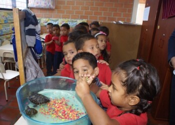 Más de 150 niños se preparan para homenajear a los Papás en su día
