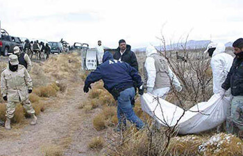 Las fuerzas de seguridad del norteño estado mexicano de Tamaulipas localizaron siete cuerpos sin vida abandonados en un vehículo  AGENCIAS