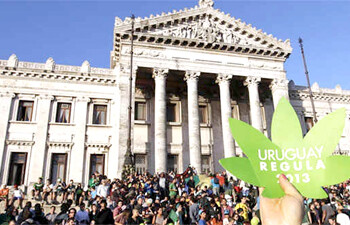 Uruguay reglamentó en abril la nueva normativa aprobada en diciembre por el Parlamento que busca combatir al narcotráfico