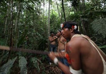 Ecuador, que prevé demandar a entidades de Estados Unidos por extraer sin consentimiento sangre de indígenas huaorani para fines investigativos  AP