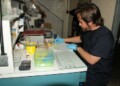 Laboratorios buscan insumos hasta debajo de las piedras