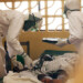 Hombres armados, que aseguraban que no hay ébola en Liberia, atacaron un centro de aislamiento de enfermos del virus en Monrovia, la capital, provocando la huida de 17 pacientes  AGENCIAS
