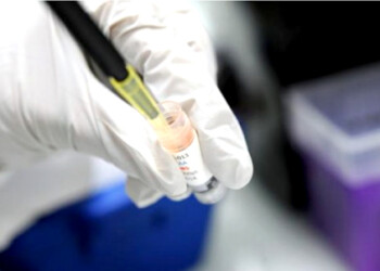 ¿Cómo se prueba y aprueba
un tratamiento médico?