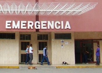 Dos arrollados ingresan al HVS