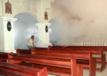 Fumigaron ante el incremento del dengue y chikungunya en la entidad