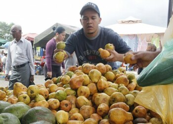 Las frutas se ven afectadas por las lluvias