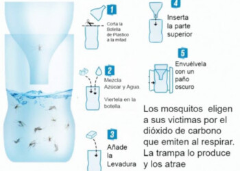 Métodos caseros son puestos en practica para evitar dengue y chikungunya