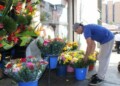 Precios bajos para regalar flores