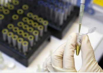 Esta vacuna es vista como una esperanza porque en pruebas realizadas con primates ha demostrado eficacia no solo ayuda a protegerse de una infección de ébola sino también aumenta las posibilidades de sobrevivir