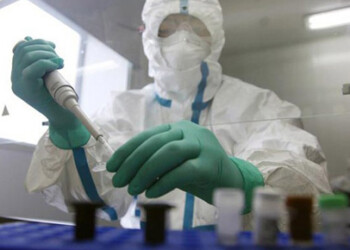 Epidemiólogos esperan directrices para el ébola