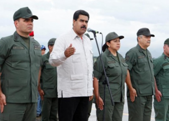 Resaltó que los efectivos de la Fanb “le han echado un camión”
