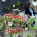 Adornar con flores naturales navideñas será un lujo este año.