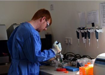 “La OMS no aprueba los ensayos ni los productos experimentales. Simplemente indica si se cuenta con datos científicos suficientes que avalen su uso experimental. La decisión de aprobar o no el ensayo recae exclusivamente en las autoridades sanitarias de los países implicados”.