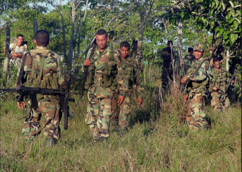 Las FARC destacaron que 2015 "será decisivo para la paz de Colombia".
