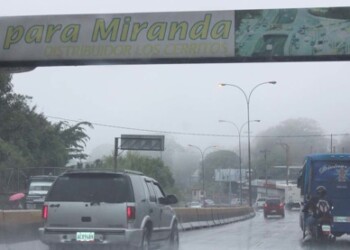 Los Teques fueron determinadas por el Gobierno Municipal de Guaicaipuro a fin de reestructurar el trabajo de los equipos de mantenimiento de áreas verdes de forma planificada. ARCHIVO