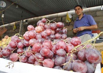 Son Bs. 250 y Bs.600 por un kilo de uvas