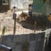 Habitantes denuncian que la obra tiene más de un año y nada que terminan, mientras siguen sin aseo y sin acceso vehicular