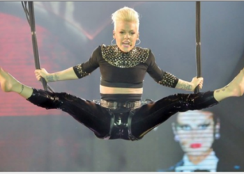 La cantante Pink aceptó posar desnuda para una campaña de PETA (Personas por el Trato Ético de los Animales)