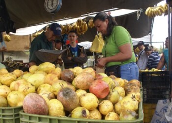 José Echeverría, Presidente de Asovemerpo
Reiteró que todo lo que produzca la tierra lo hay, por lo que hay frutas y hortalizas que han bajado de precios notablemente
