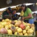José Echeverría, Presidente de Asovemerpo
Reiteró que todo lo que produzca la tierra lo hay, por lo que hay frutas y hortalizas que han bajado de precios notablemente