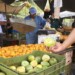 Los víveres cada día llegan en menor cantidad al mercado