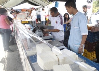 Queso sigue en incremento