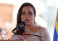 Díaz criticó que los medios de comunicación privados asociaran al autor intelectual como un “patriota cooperante”