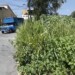 Vecinos se quejan de la inseguridad en la zona