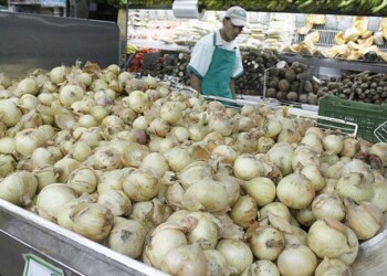 Amas de casa cada día tienen menos opciones para sustituir ingredientes. ARCHIVO