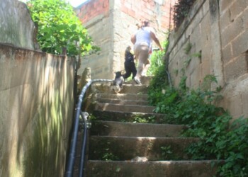 Hay que subir 750 escalones para llegar a la parte alta de barrio La Cruz