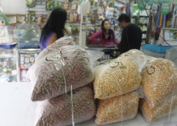 Tequeños aprovecharon el feriado para hacer cola y comprar comida a sus mascotas