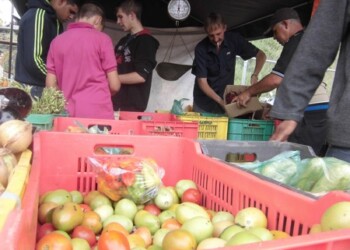 El kilo de tomate pasó de Bs 250 a Bs 500
