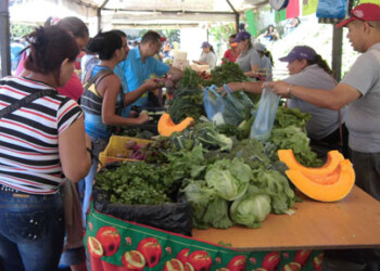 Ocho toneladas de pollo, tres de productos agrícolas y tres de pescado fueron vendidos a más de 2 mil personas que acudieron este viernes a la Feria Agrícola realizada para beneficiar al gremio de mototaxistas.