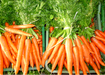 Incluir en nuestra dieta alimentos naturales, funcionales, con efectos anticancerígenos, es uno de las recomendaciones que nos brinda Oncosalud