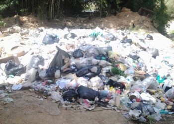 El mal olor por la acumulación de basura y animales muertos tiene al borde de la locura a los habitantes de la invasión