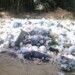 El mal olor por la acumulación de basura y animales muertos tiene al borde de la locura a los habitantes de la invasión