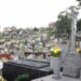 Ayer la mayoría decidió visitar a sus difuntos.