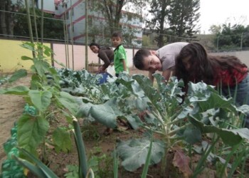 Los alumnos no olvidaron regar las semillas y demás plantas sembradas en el huerto.