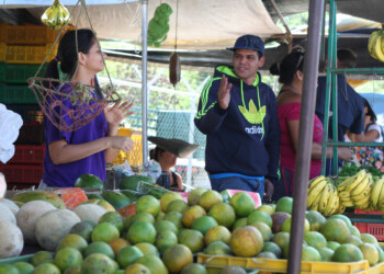 Usuarios compran menos fruta debido al aumento de los precios