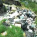 La basura atrajo ratas a la comunidad
