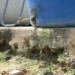 Contar con una gran cantidad de tanques de agua son la solución al problema de los vecinos