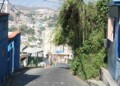 La maleza se ha extendido por todo el transformador y los cables de alta tensión que dan luz al sector