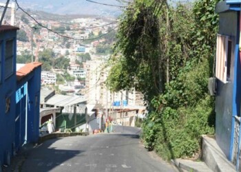 La maleza se ha extendido por todo el transformador y los cables de alta tensión que dan luz al sector