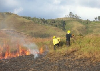 Si desea reportar un incendio forestal puede llamar a Protección Civil Miranda por los teléfonos (0212) 383-61.52 / (0212) 327-96.16 / (0212) 327-90.86.