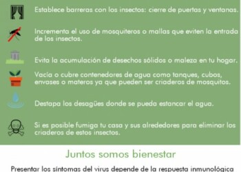 (((POR SER UNA INFOGRAFIA DEBE TENER EL TAMAÑO SUFICIENTE PARA QUE SE LEA))